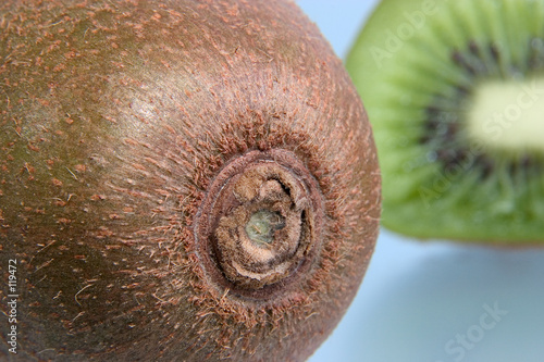 kiwi 06 kiwi 06