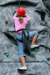 to the summit