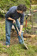 man in vegetable patch man in vegetable patch