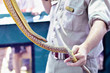 taipan snake