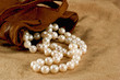 pearls and pouch