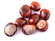 chestnuts