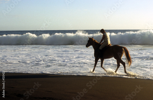 cheval sur la plage