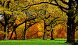 oregon park,il.usa