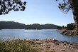 lac