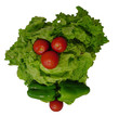 saladman