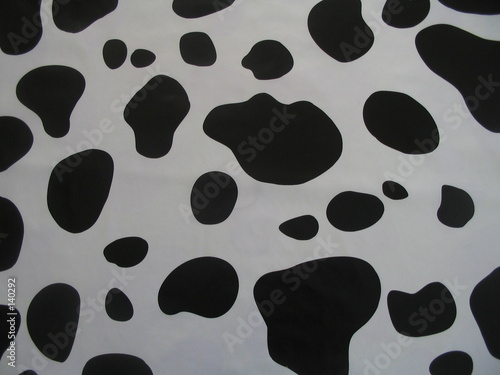 fond vache 3