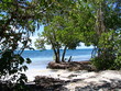 paysage de guadeloupe