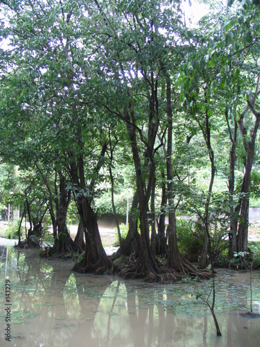 guadeloupe guadeloupe