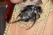 adornment