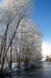 etang givré etang givré