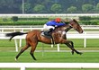 Foto: horse racing horse racing