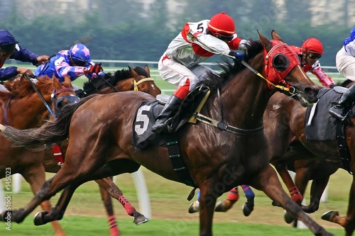 Foto: horse racing horse racing