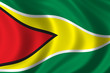 flag of guyana