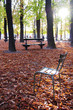 chaise au jardins du luxembourg à paris