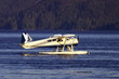 float-plane