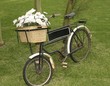 rose bicycle rose bicycle