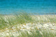 plage & sable