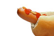 hot dog