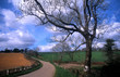 route de campagne