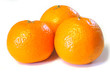 mandarin oranges mandarin oranges