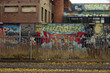ban018-246/ graffiti 1