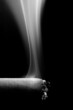 cigarette smoke