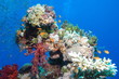 Foto: colors colors