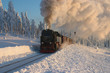 winter in brocken