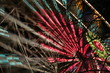 fairground 2