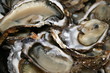 assiette d'huitres