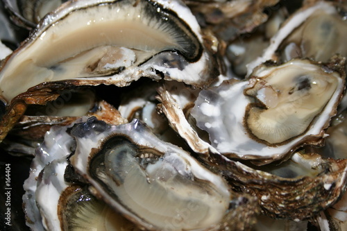 assiette d'huitres