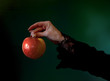 poison apple