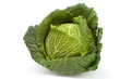 cabbage