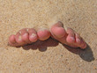 c'est le pied !