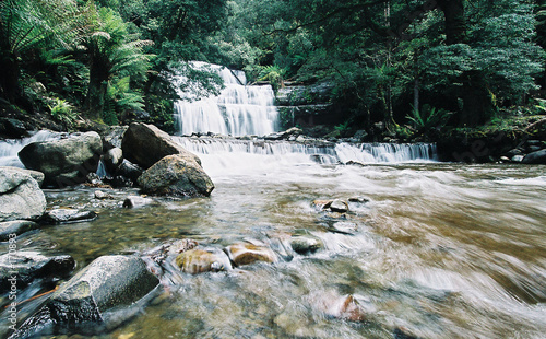 liffey fall's (tasmanie) liffey fall's (tasmanie)
