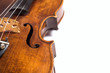 violin ribs violin ribs