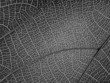 abstract pattern