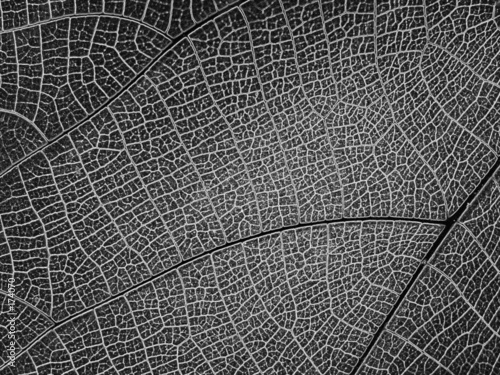 abstract pattern
