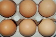 oeuf