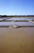 marais salants