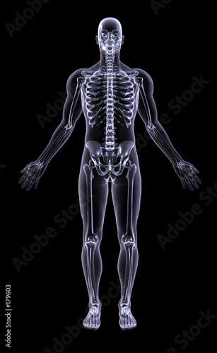 full figure xray - adult male
