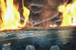 feu de cheminée feu de cheminée