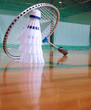 badminton 2