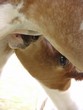 Photo: milk milk
