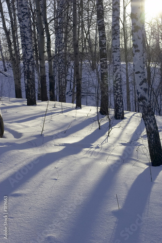 winter day winter day