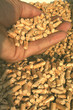 Foto: pellet 2 pellet 2