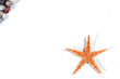 seastar