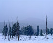 kawuneeche valley snowstorm