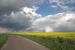 rapsfeld
